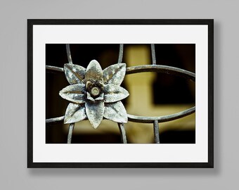 Puede incluir: Primer plano de un diseño de flor de metal en una puerta de metal negro. La flor es plateada y tiene un diseño detallado. La puerta está en el fondo y está desenfocada.
