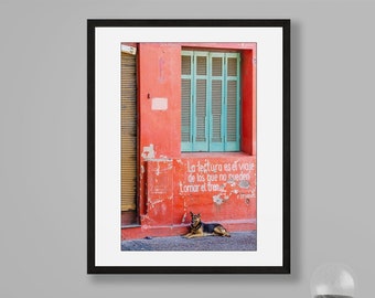 Puede incluir: Una lámina de arte enmarcada con la fotografía de un perro pastor alemán tumbado frente a una pared roja desgastada con contraventanas color turquesa y el texto en blanco, La lectura es el viaje de los que no pueden tomar el tren.