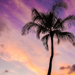 Hawaii Photography, Sunset Photography, Palm Tree Photography, Kauai, Island, Hawaii Photo Print