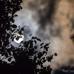 Night Photography, Moon, Full Moon, Cloudy Sky Photo Print