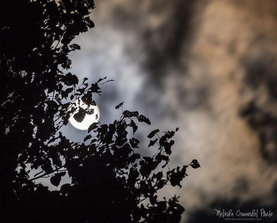 Night Photography, Moon, Full Moon, Cloudy Sky Photo Print