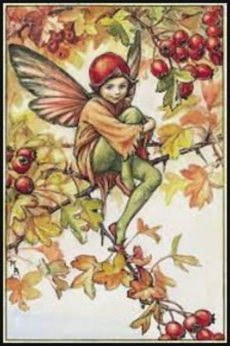 Hawthorn Fairy Flower Fairies Fabric Panel 40 Etsy