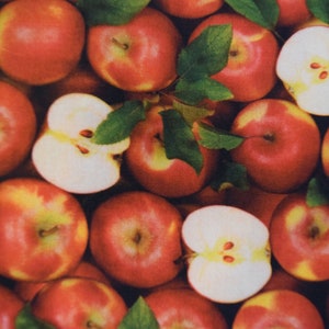 Apples from the A La Carte Collection by Whistler Studio for Windham Fabrics. Fabric by the Yard #2660