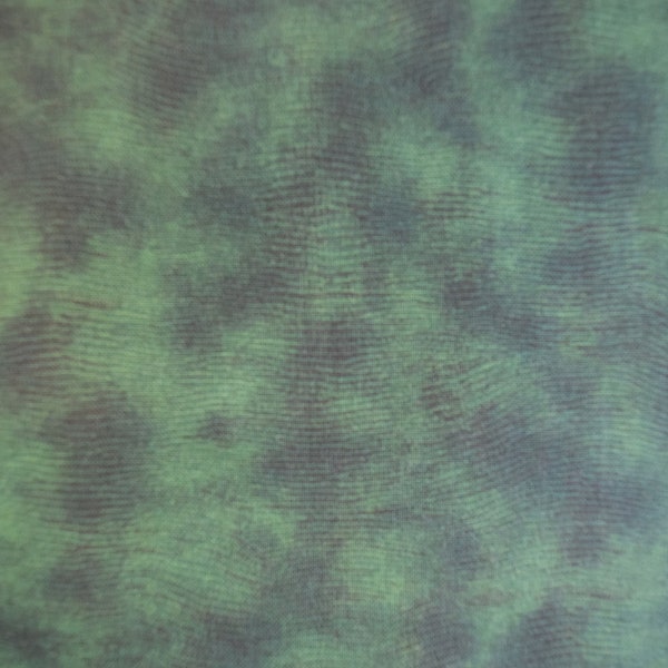 Green Tonal is from the Equipoise Collection by Paint Brush Studio.  Quilt and Craft Fabric,  Fabric by the Yard.