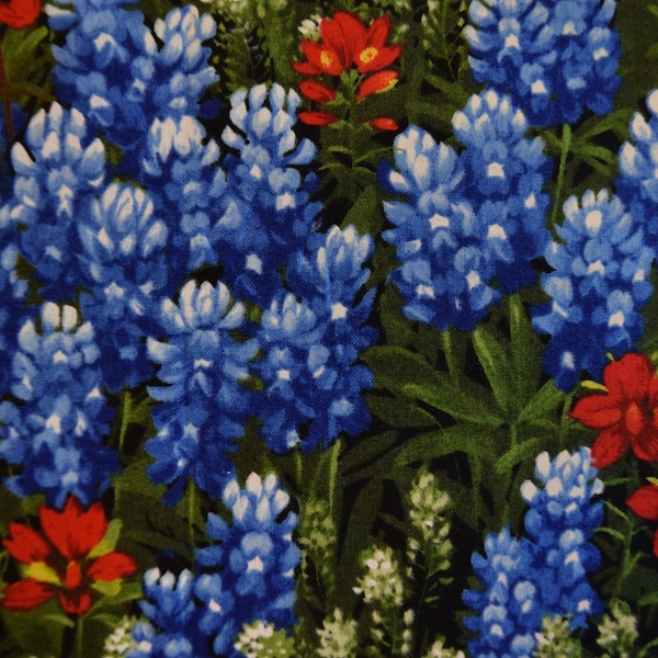 Moda Texas Wildflower Fabric Etsy