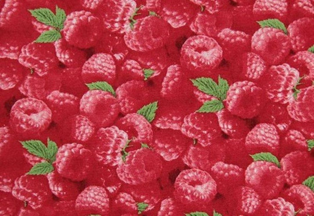 Baby Raspberry Print Raspberries Print by Elizabeth Studio. Cotton Fabric by the Yard #714 ...