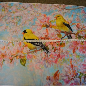 Gold Finch Panel from The Spring Morning Collection by Beth Haselton for David Textiles. Panel #2563