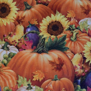 Pumpkins and Sunflowers from the Give Thanks Collection by Gina Jane for Quilting Treasures.  Fabric by the Yard #2404