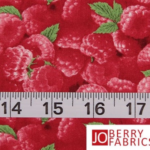 Raspberries Print Fabric, Raspberries by Elizabeth Studio, Quilt or Craft Fabric, Fabric by the Yard image 4