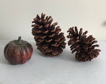 Medium / Large Pine Cone or Artificial Pumpkin Shaped Dark Red Gourd, Floral Greenery Accents for Floral Designs Crafts Wreaths Arrangements