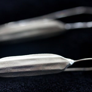 May include: A pair of silver earrings with a textured, elongated, pod-like shape. The earrings have a simple wire hook closure.
