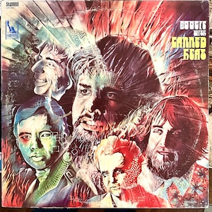 Blues Rock LP: Boogie mit eingebrannter Hitze , Liberty LST-7541, 1968