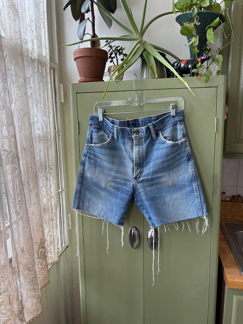 May include: Light blue denim shorts with frayed edges hanging on a clear hanger. The shorts are faded and have a classic five-pocket design. The shorts are hanging on a green cabinet in a room with plants.