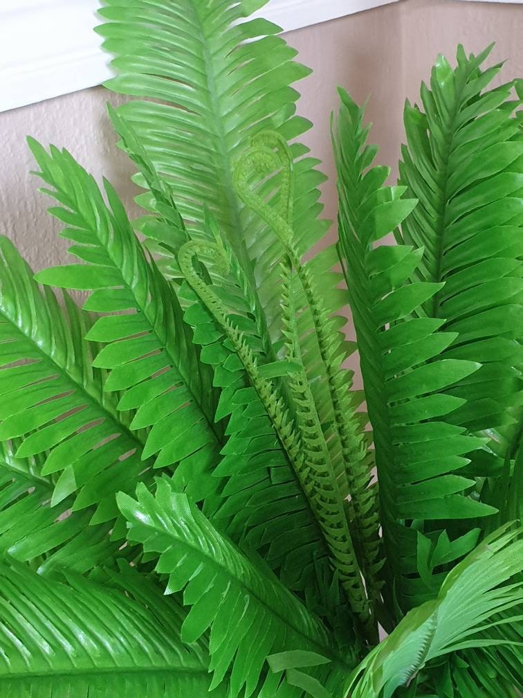 Large Boston Silk Artificial Fern Plant 56cm/22 22 Etsy