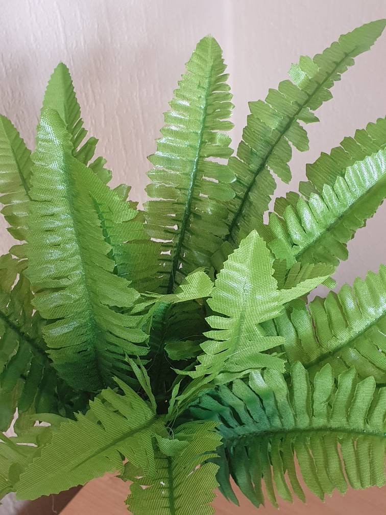 Silk Artificial Fern Plant 43cm/17 Ideal for Flower Etsy UK