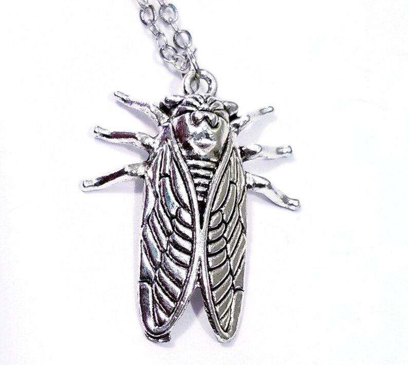 Bug Charm Necklace Silver Insect Jewelry Roach Cicada Etsy