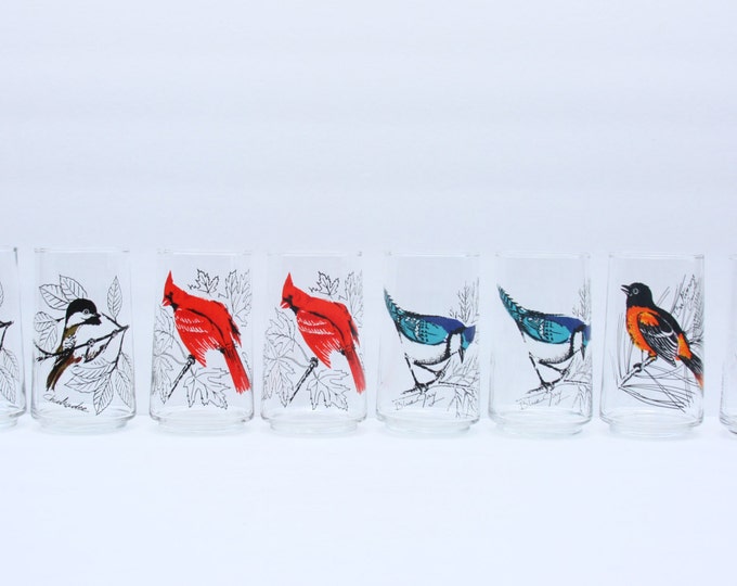 Vintage Bird Drinking Glasses Set of 8 Blue Jay Red Etsy