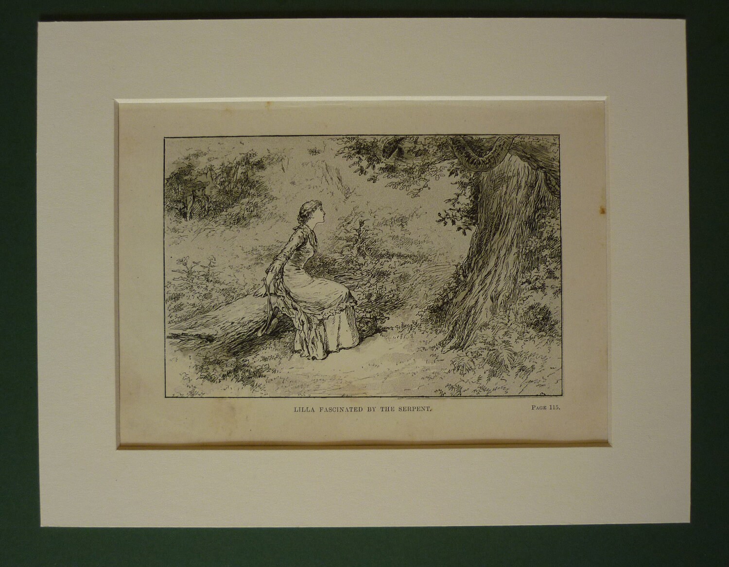 Image of 1884 Print From The Golden Magnet - Woman Lilla Tree Snake Mounted Matted Black & White Bushes Woodland