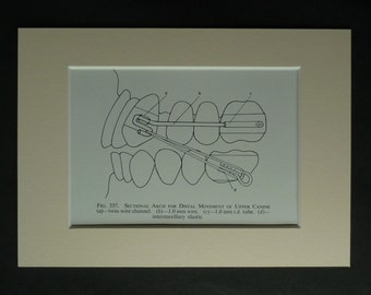 Orthodontics Wall Art - Etsy