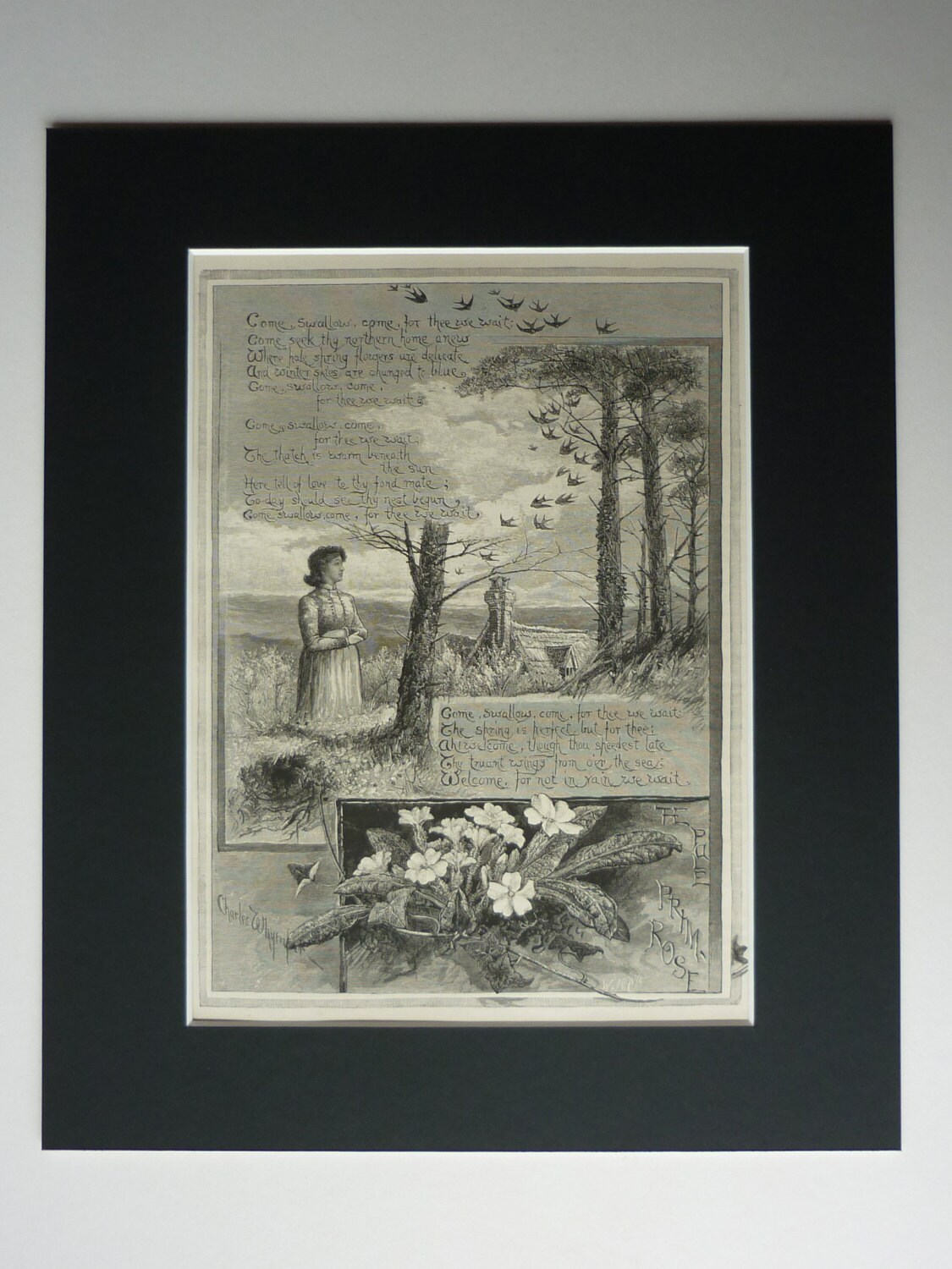 Image of 1886 Antique Swallow Print - Charles Whymper Countryside Art Primrose Poetry Victorian Poem Cottage Summer Old Picture