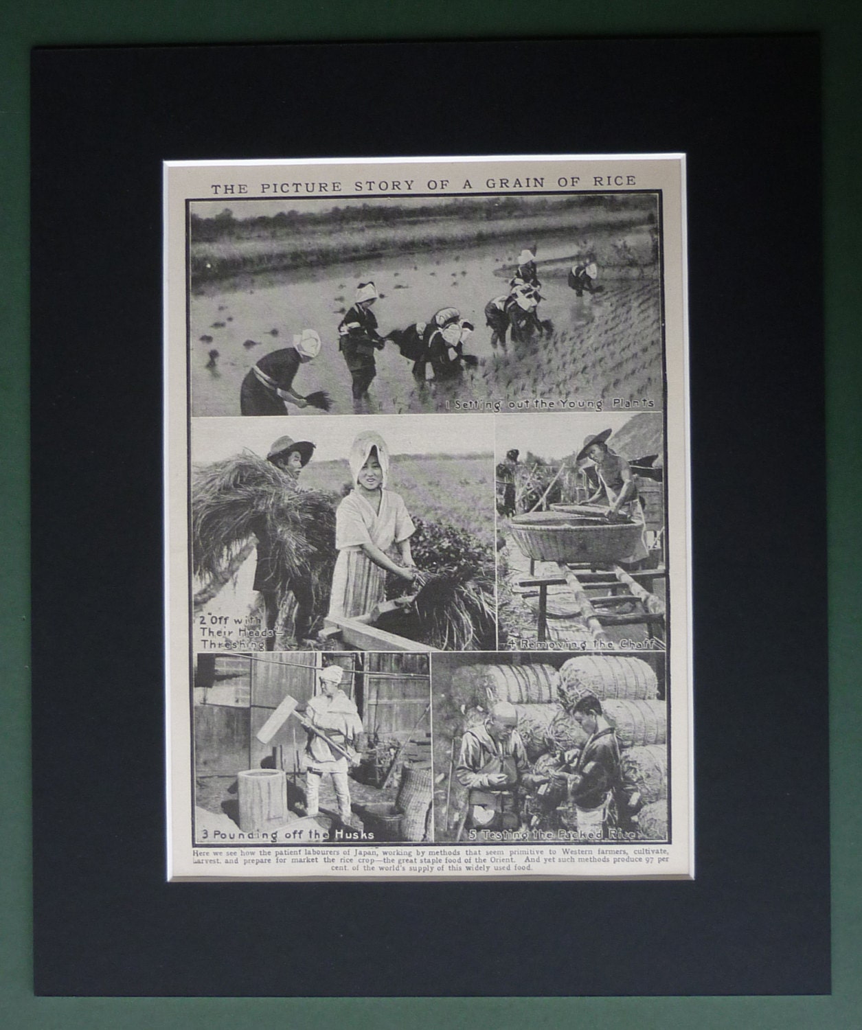 Image of 1930S Vintage Japanese Print - Old Japan Gift Available Framed Oriental Art Rice Harvest Agricultural History Decor