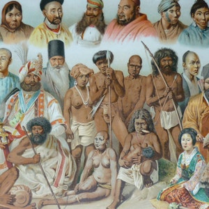 japanese human races