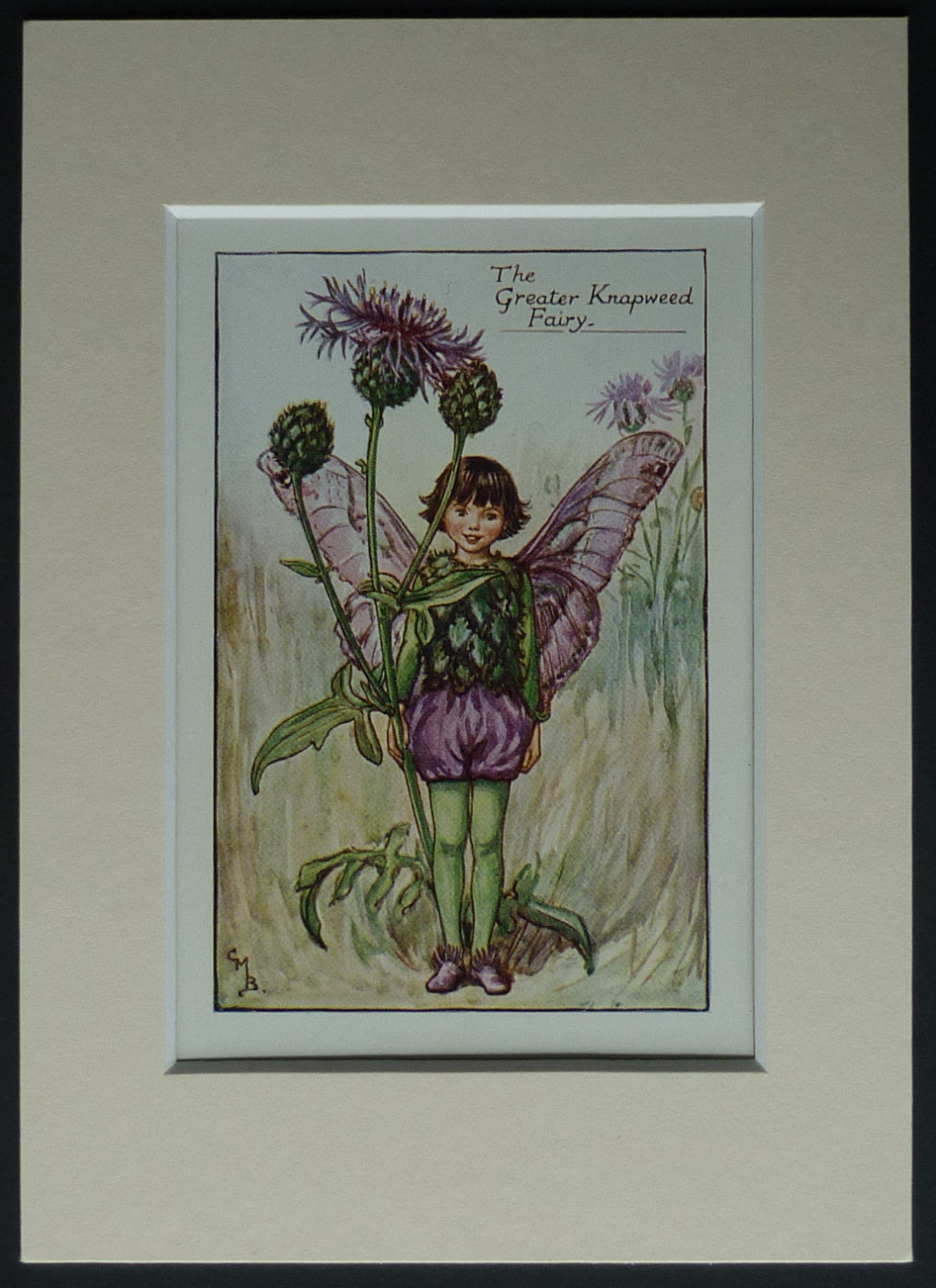 1923 Original Greater Knapweed Fairy Print By Cicely Mary Etsy Uk