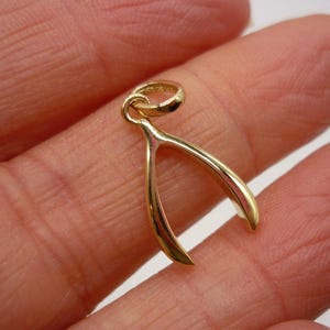 Peut inclure: Un charm en forme de wishbone de couleur or. Le charm est en métal brillant et lisse, avec une boucle en haut pour l'attacher à une chaîne ou un bracelet. La forme de wishbone est clairement définie avec des extrémités arrondies.