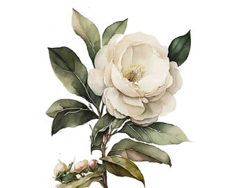 Watercolor White Camellia Vintage Style Botanical print, Spring Flower Digital Art Print / Instant Download Printable Art Commercial Use