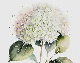 Watercolor White Hydrangea Digital Art Print / Instant Download Printable ArtCommercial Use