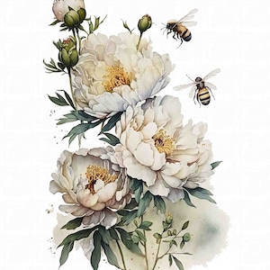Watercolor White Peony with Honey Bees, Spring Flower Digital Art Print / Instant Download Printable Art Commercial Use