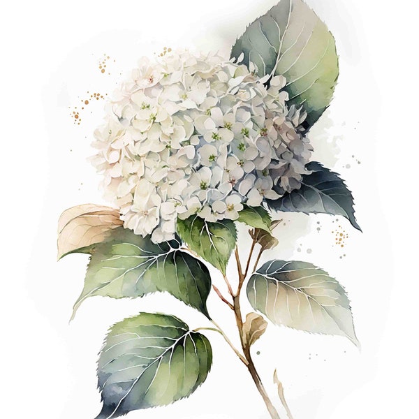 Watercolor White Hydrangea Digital Art Print / Instant Download Printable Art Commercial Use