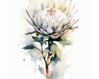 Watercolor White Protea Vintage Style Botanical print, Spring Flower Digital Art Print / Instant Download Printable Art Commercial Use