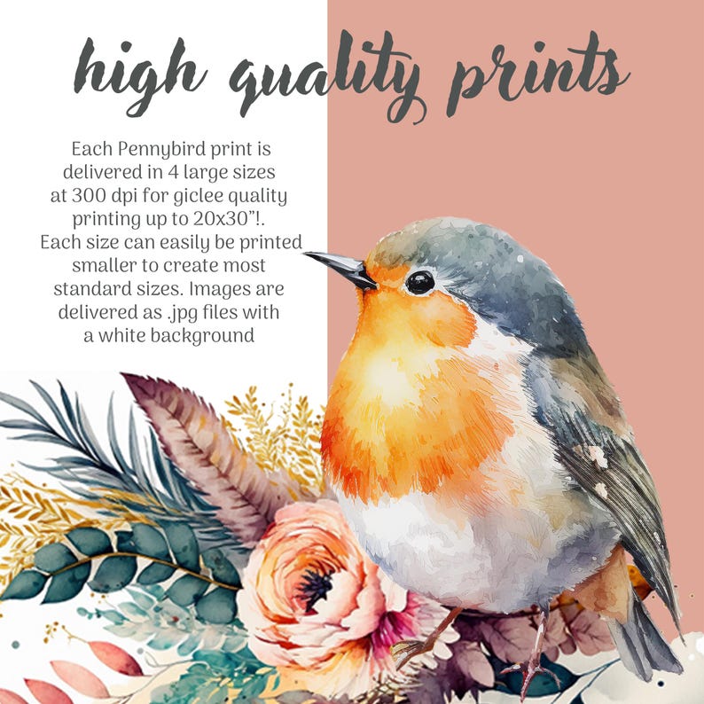 May include: A watercolor painting of a robin perched on a branch with pink and green flowers. The text "high quality prints" is at the top of the image. The text below the image describes the print sizes and quality.