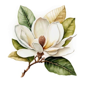 Watercolor White Magnolia Digital Art Print / Instant Download Printable ArtCommercial Use