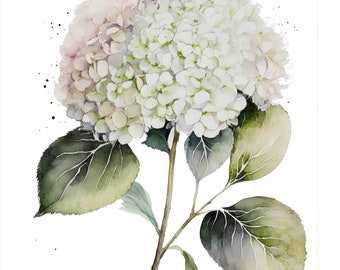 Watercolor White Hydrangea Digital Art Print / Instant Download Printable ArtCommercial Use