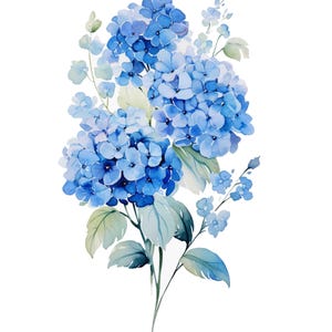 Watercolor Blue Hydrangea Digital Art Print / Instant Download Printable ArtCommercial Use