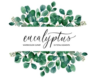 Eucalyptus Watercolor Clipart, Floral Frames, DIY Invitations (Digital Download)