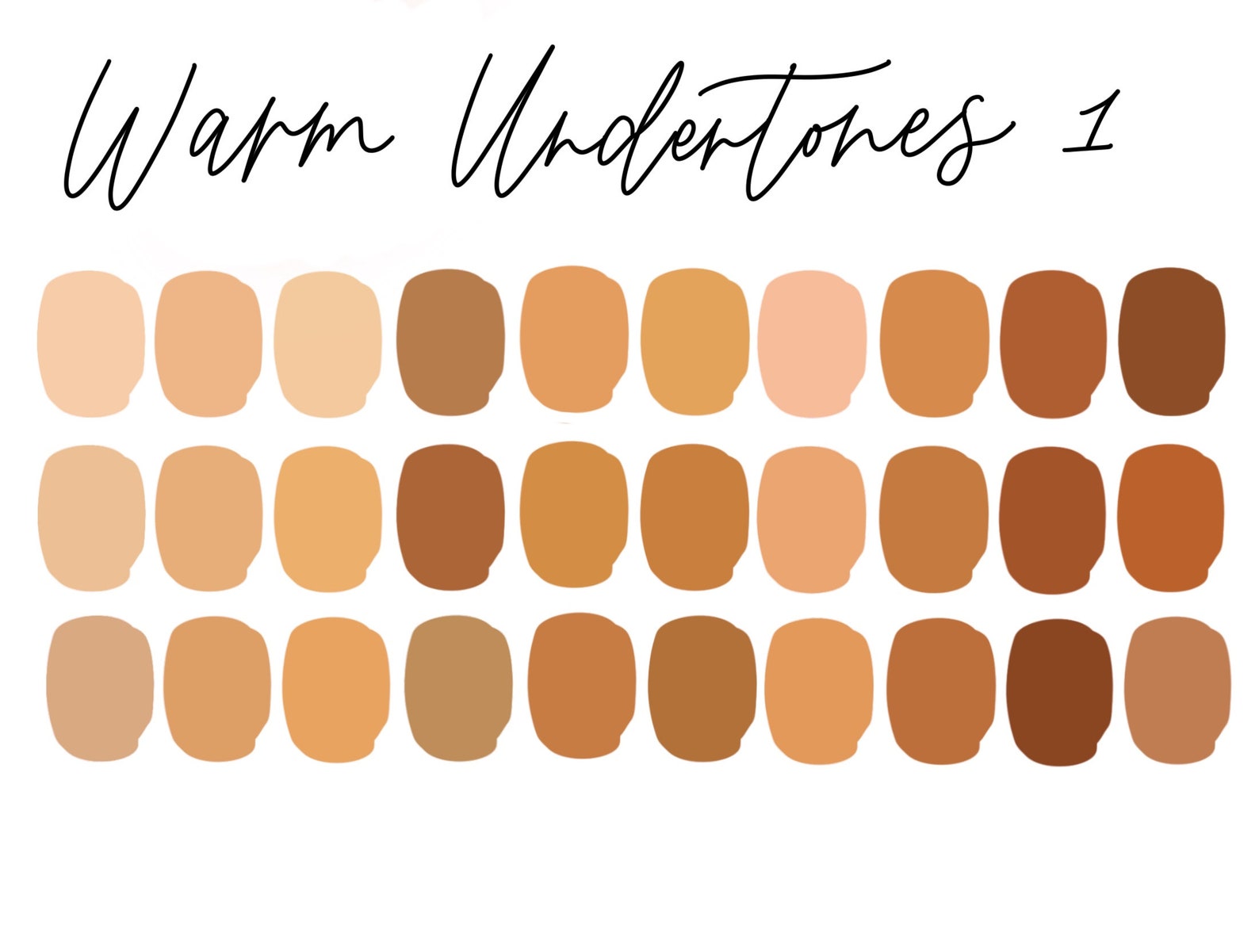 Skin Tones Procreate Color Palette for Ipad 6 Palettes 180 - Etsy