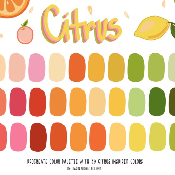 Citrus Inspired Color Palette for Procreate Orange, Green, Pink Swatches for Digital Bullet Journal, Planner, Fashion Illustration, Clip Art