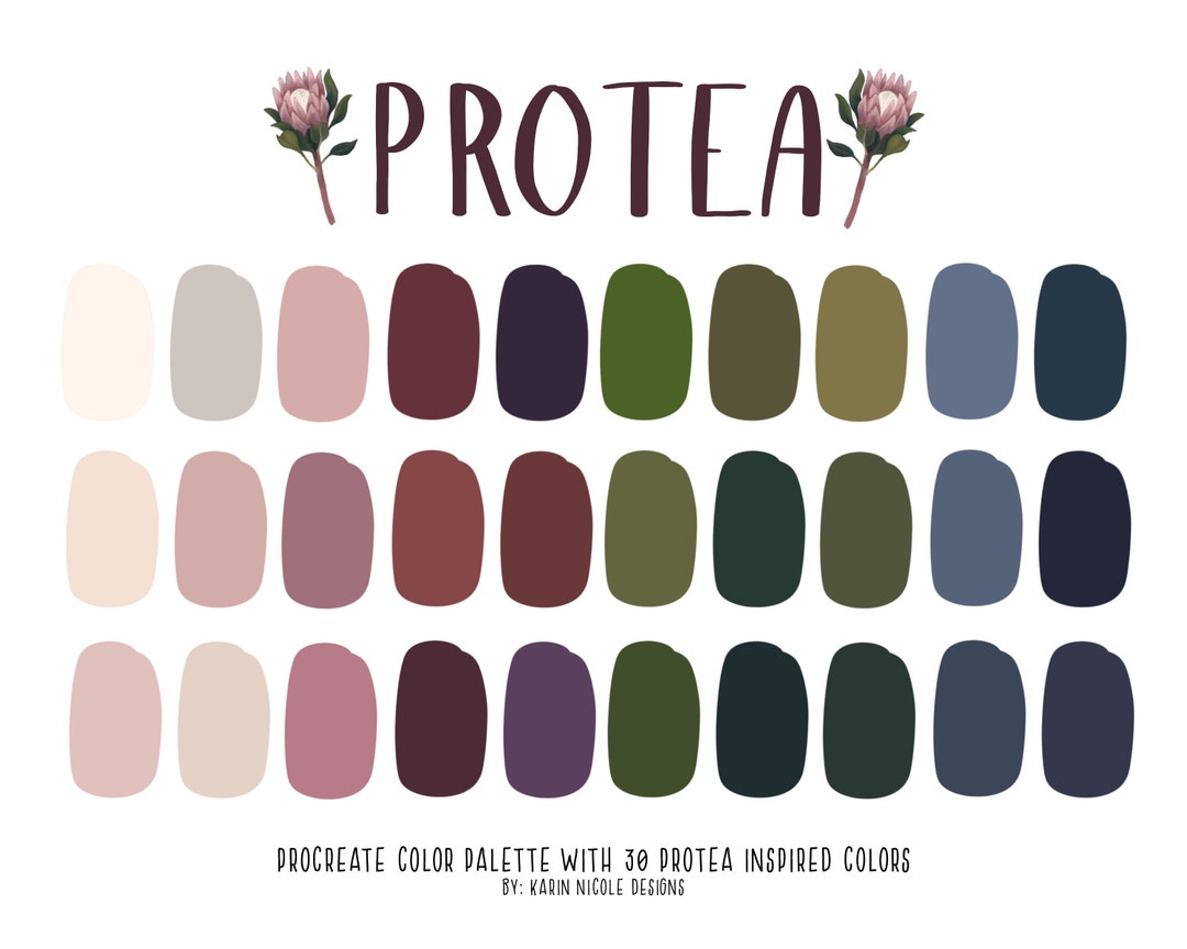 King Protea Color Palette for Procreate, Dusty Rose Navy Burgundy ...