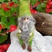 see more listings in the Dwarves and gnomes section