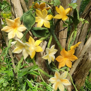 Könnte beinhalten: Eine Girlande aus Filzblumen in Gelb- und Orangetönen mit grünen Filzblättern ist über einen Holzast gelegt.