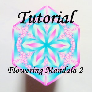 Könnte beinhalten: Tutorial für ein blühendes Mandala mit einem Farbschema in Pink, Blau und Weiß. Das Mandala ist ein sechseckiges geometrisches Design mit einem blumenartigen Muster.