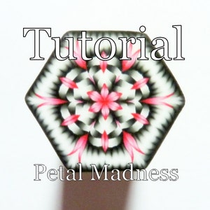 Puede incluir: Un tutorial para hacer un azulejo hexagonal de arcilla polimérica con un diseño floral negro, blanco y rosa. El azulejo se titula "Petal Madness".