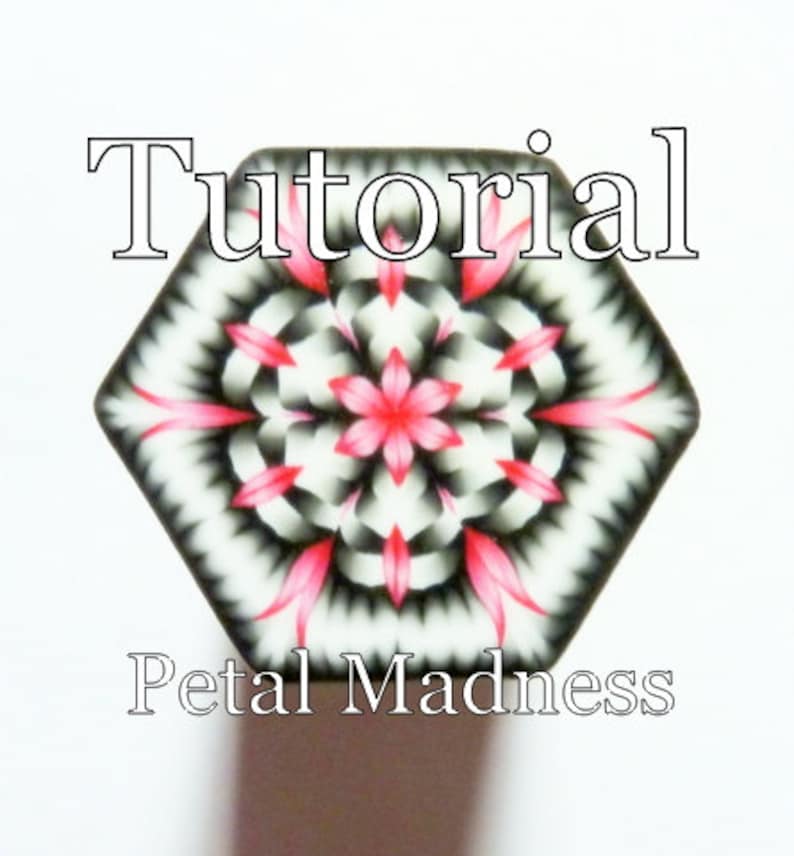 May include: A tutorial for making a polymer clay hexagon tile with a black, white, and pink floral design. The tile is titled "Petal Madness".