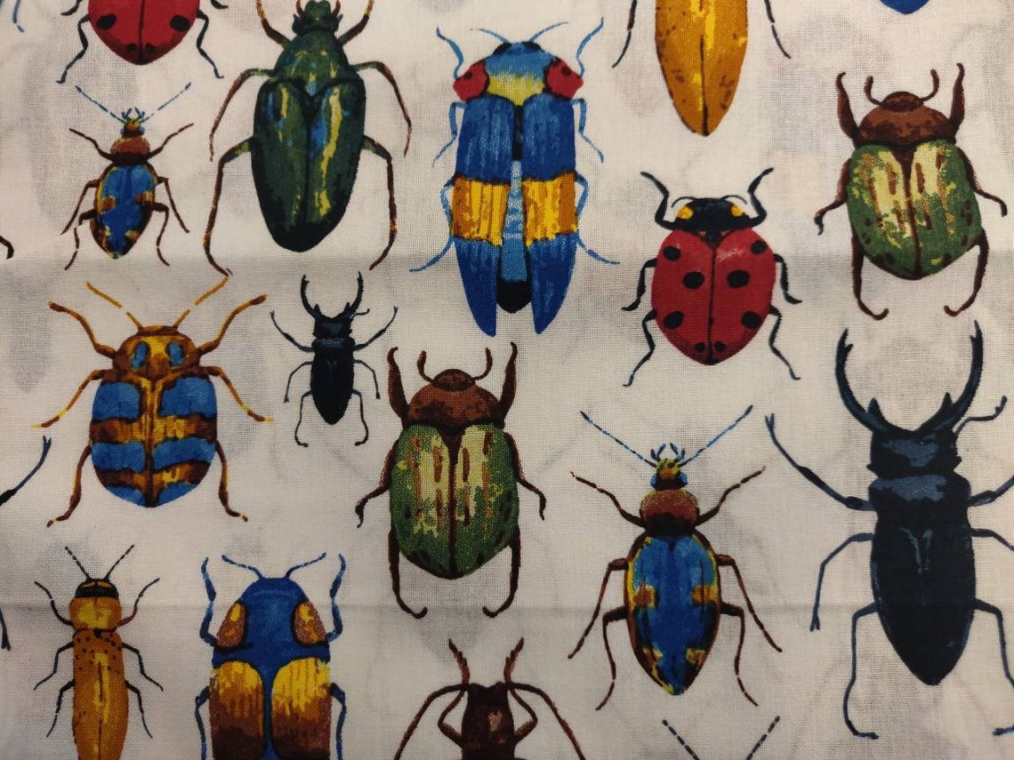 Beetle Fabric Bug Fabric 100 Cotton fabric Fabric by the Etsy
