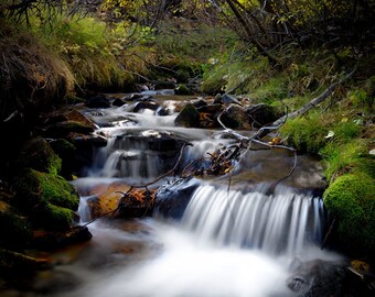 Fall Stream - Digital Version