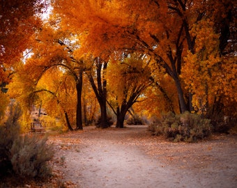 Autumn on the Carson River - Digital Version