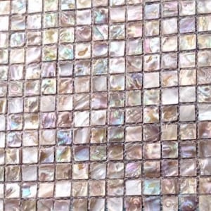 White Mother of Pearl Tile Backsplash Bk03-12
